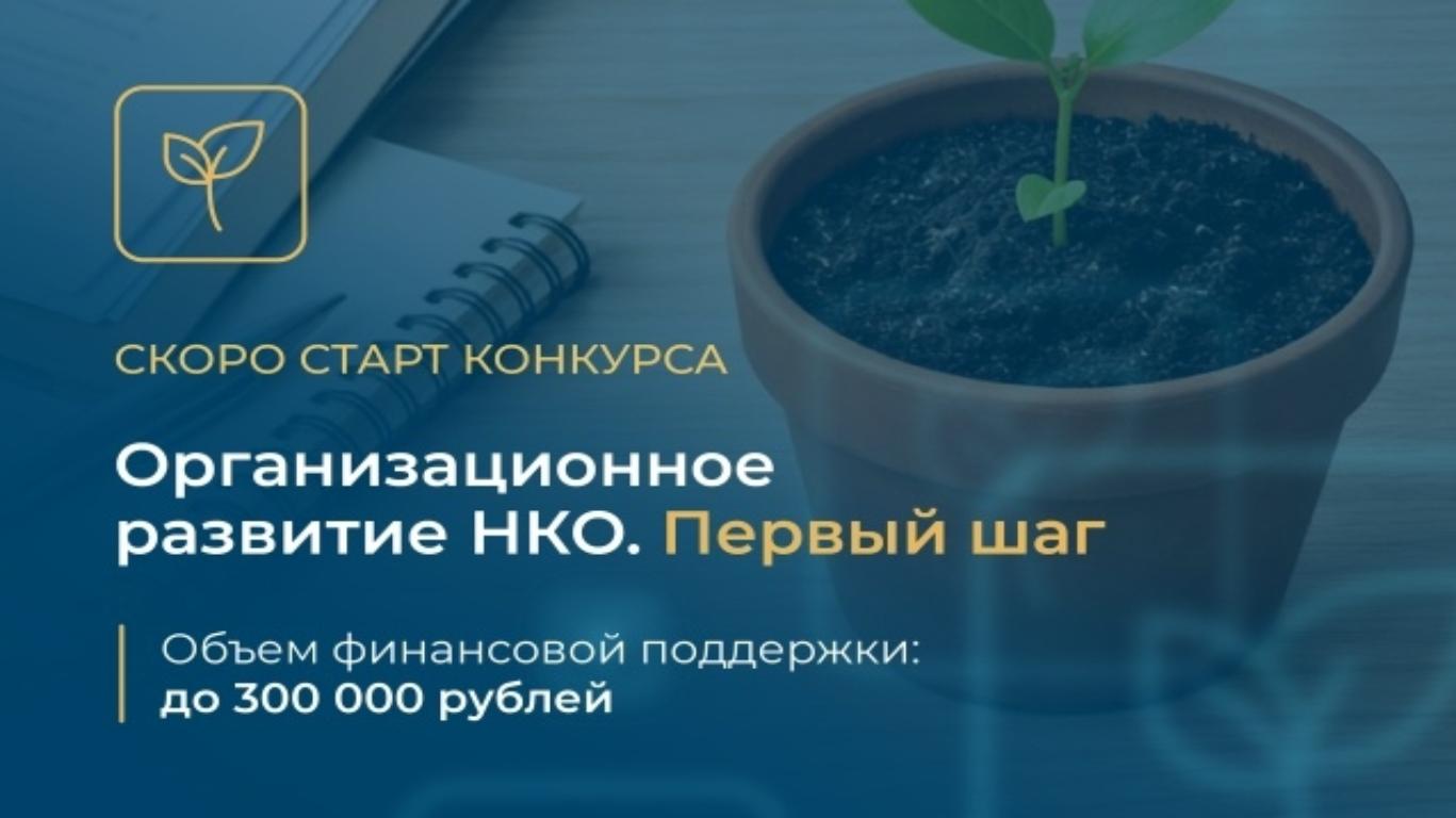 Эндаумент-фонд «Кольский» объявил о старте приема заявок на конкурс «Организационное развитие НКО. Первый шаг»
